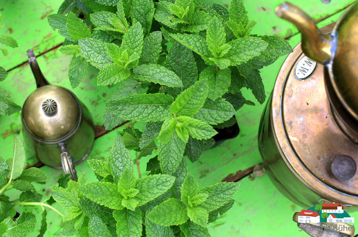 Das slideshow-Fenster „Impressionen zur Produktpalette aus der Siedlung Bühel“ anzeigen ...