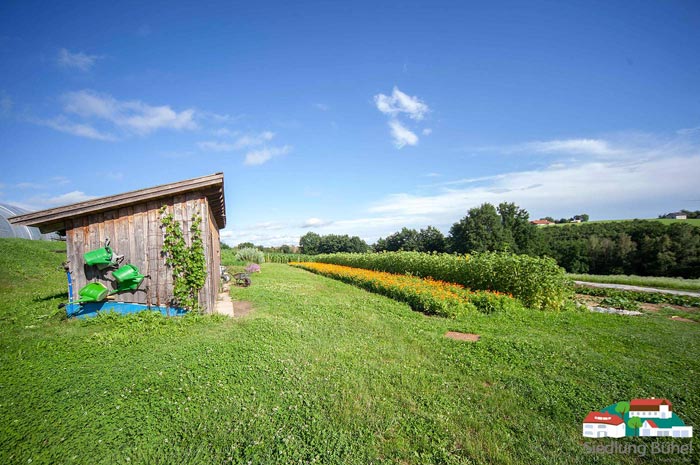 Das slideshow-Fenster „Impressionen aus der Gärtnerei in der Siedlung Bühel“ anzeigen ...