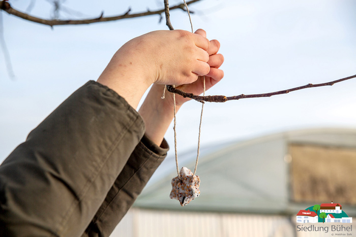 Das slideshow-Fenster „Impressionen aus der Berufsbildungsbereich in der Siedlung Bühel“ anzeigen ...